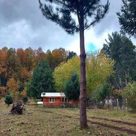 Cabaña para 3 en Melipeuco cerca del Parque Nacional Conguillio Exterior foto