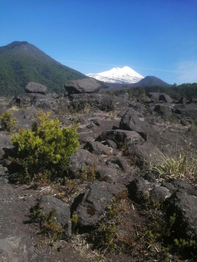 Cabaña para 3 en Melipeuco cerca del Parque Nacional Conguillio Exterior foto