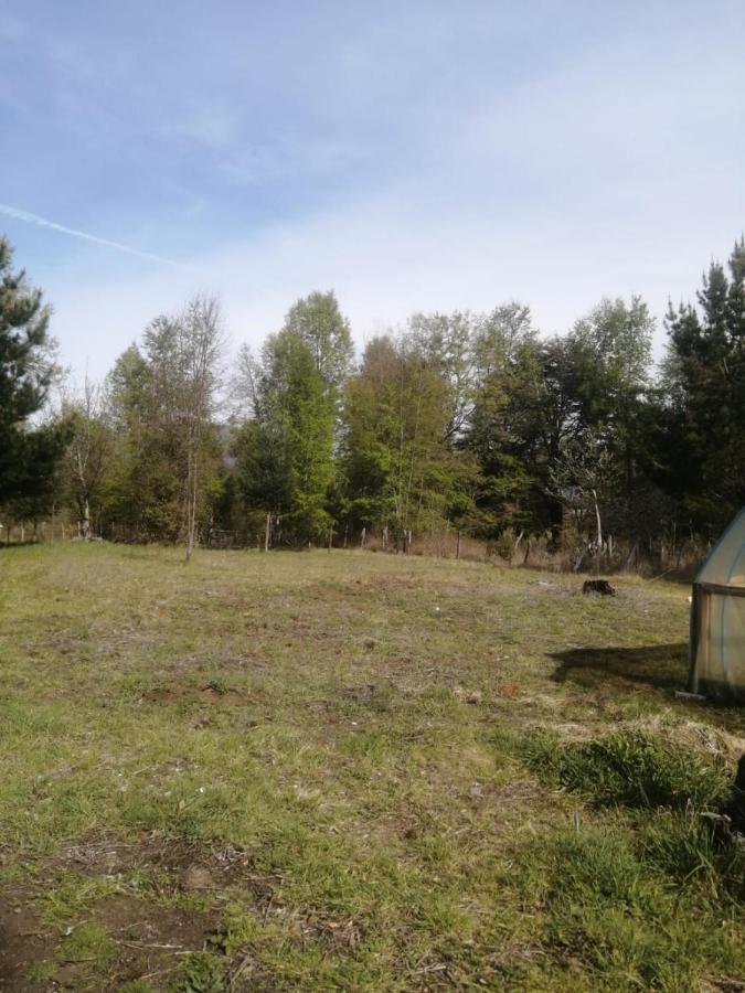 Cabaña para 3 en Melipeuco cerca del Parque Nacional Conguillio Exterior foto