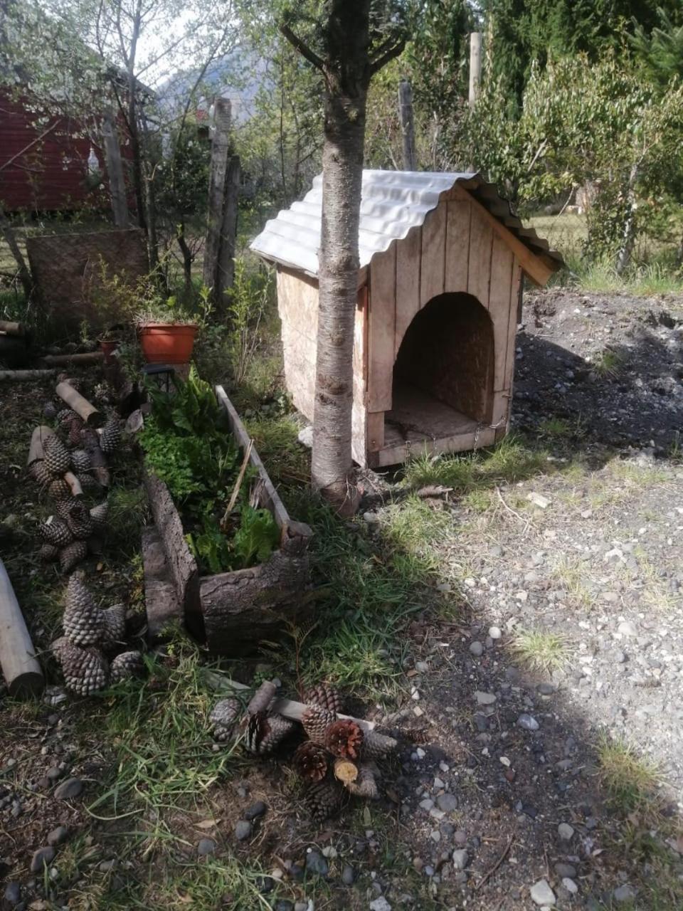 Cabaña para 3 en Melipeuco cerca del Parque Nacional Conguillio Exterior foto