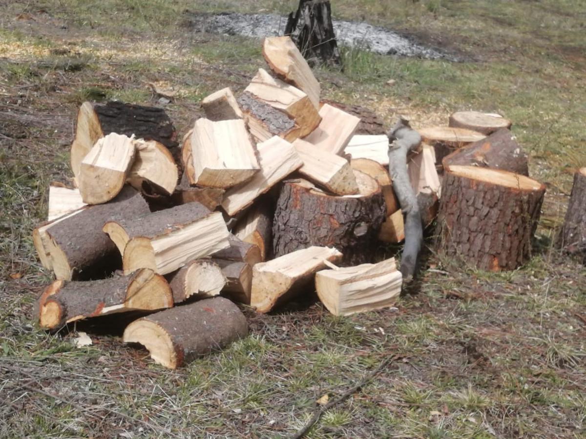 Cabaña para 3 en Melipeuco cerca del Parque Nacional Conguillio Exterior foto
