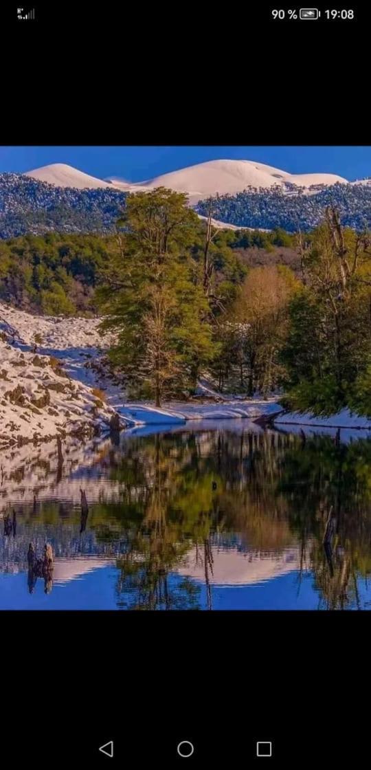 Cabaña para 3 en Melipeuco cerca del Parque Nacional Conguillio Exterior foto