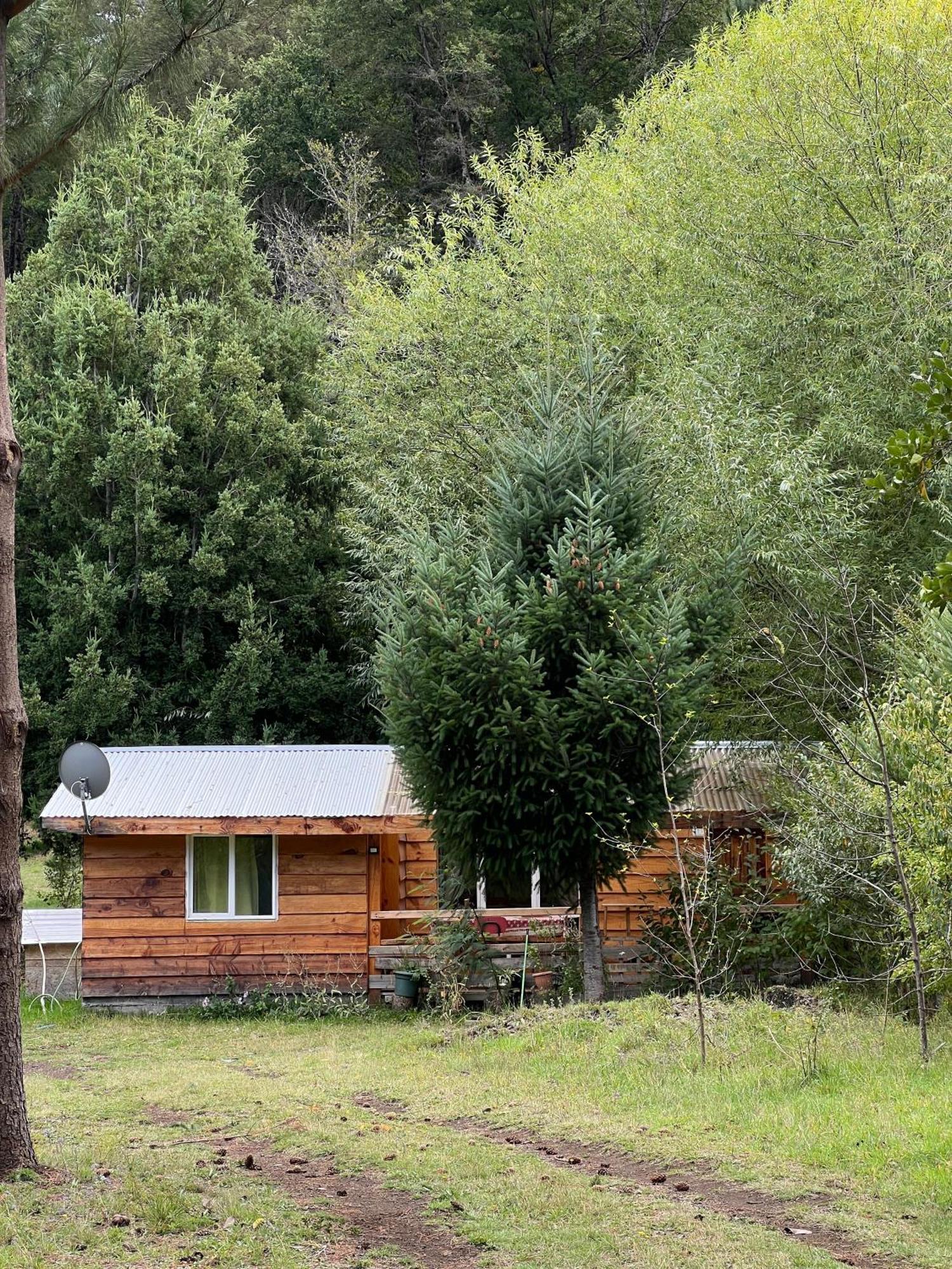 Cabaña para 3 en Melipeuco cerca del Parque Nacional Conguillio Exterior foto