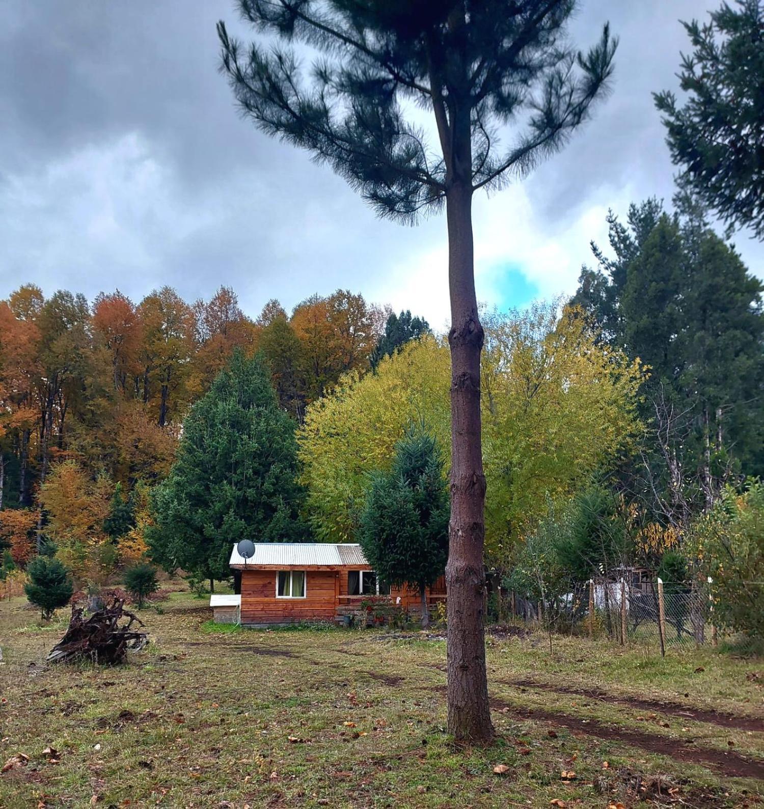 Cabaña para 3 en Melipeuco cerca del Parque Nacional Conguillio Exterior foto
