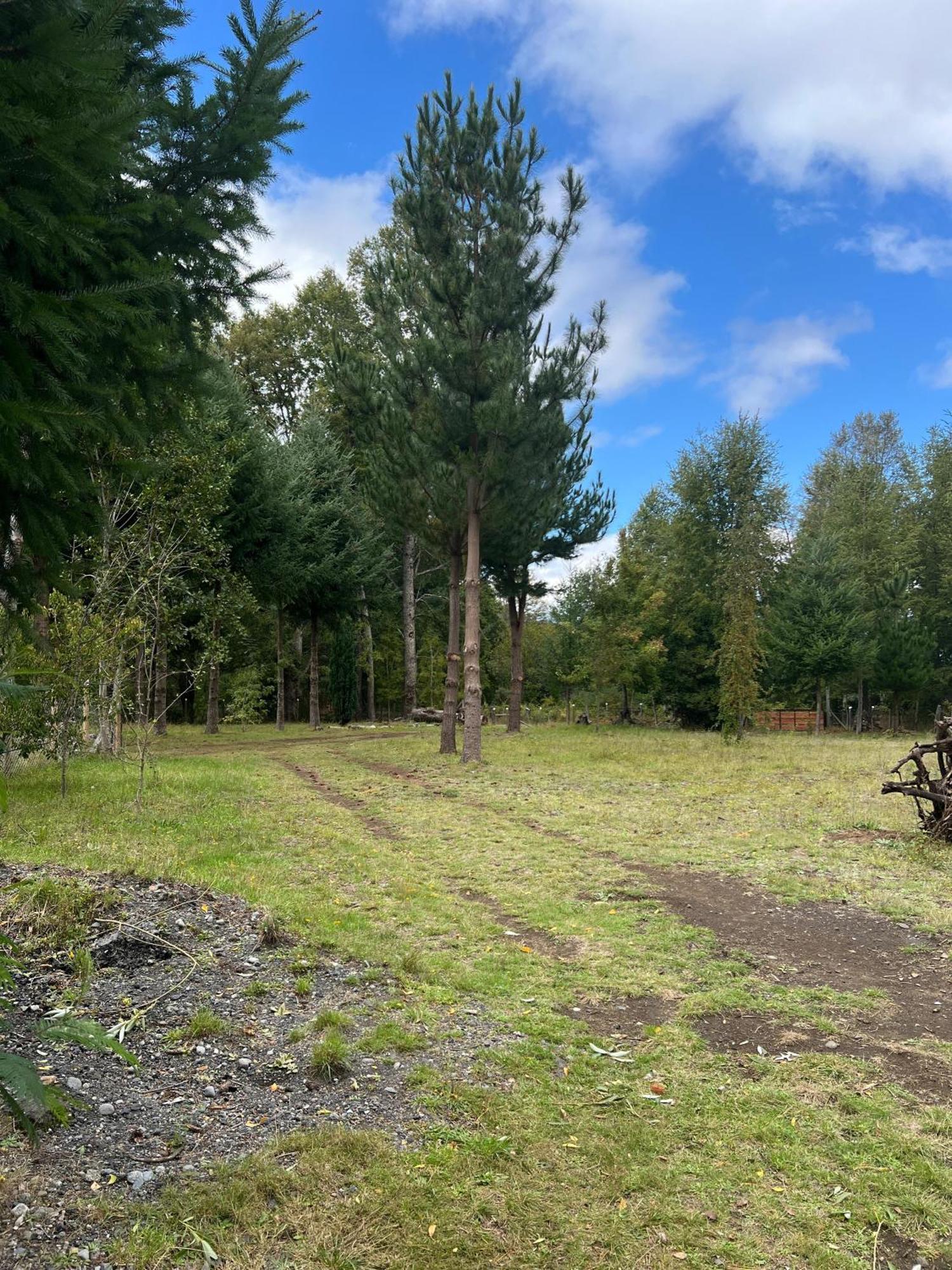 Cabaña para 3 en Melipeuco cerca del Parque Nacional Conguillio Exterior foto